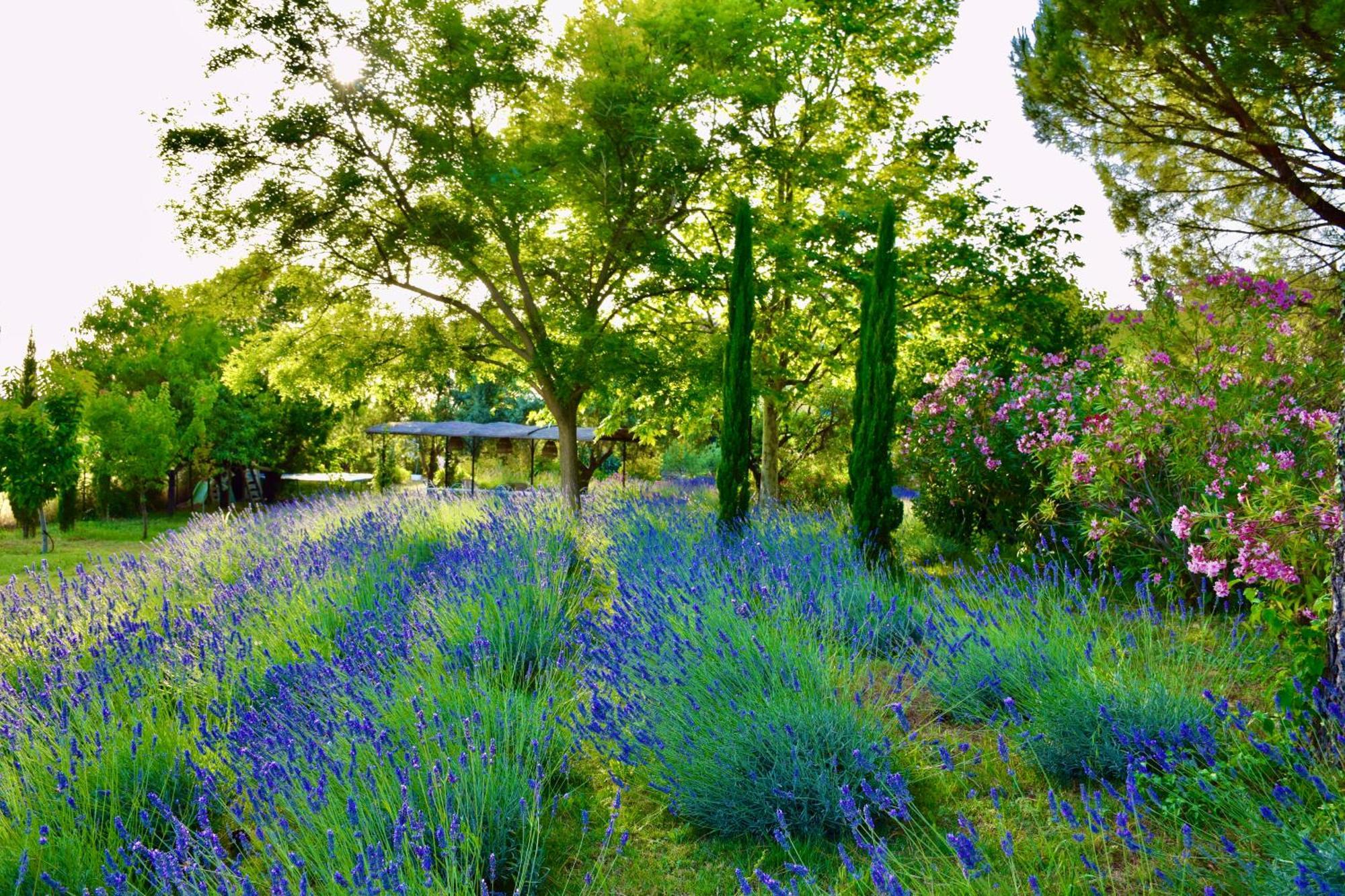 Bastide Saint-didier