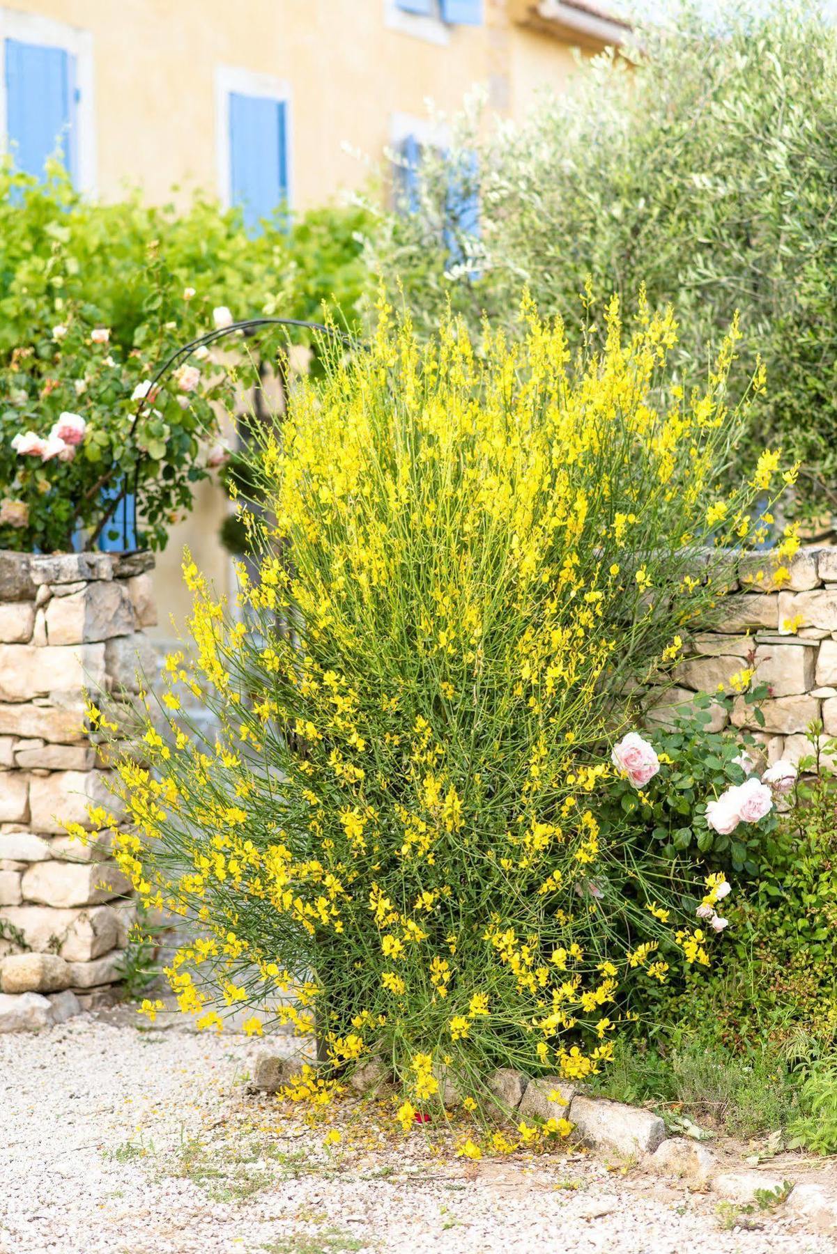 Bastide Saint-didier Bed & Breakfast 5*