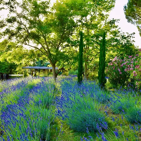 Bastide Saint-Didier Exterior photo
